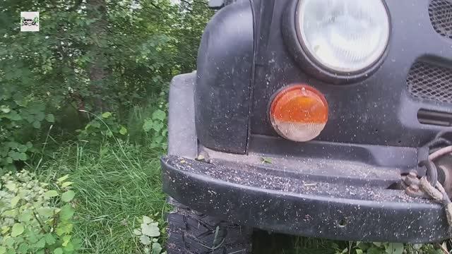 По Ярославской области. Деревянная часовенка в непроходимых лесах. Покинутое фермерское хозяйство.