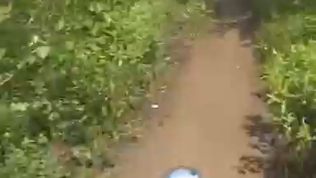 Винты Александра Филина