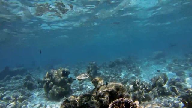 E766141d97fadbf38ffd621f4aa838e8