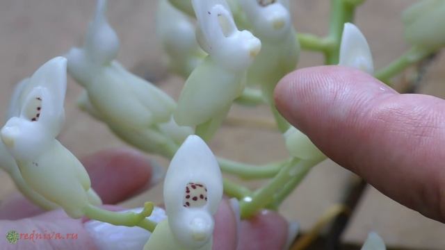 B5bf361629eb98a69635f8a89c34b180