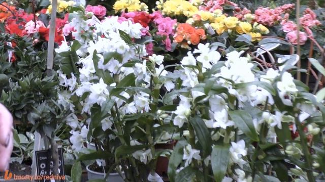 E0bd5e0d9908593bf757ccbd10b2358e