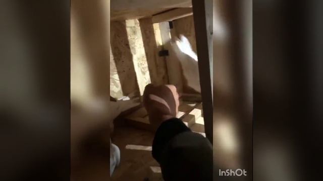 Голуби Султана . Алматы