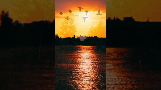 C9140efadeceabd1e1a95017b07cb8c4