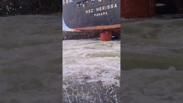 EXTREMELY POWERFUL SHIP PROPELLER!🚢 #marinelife