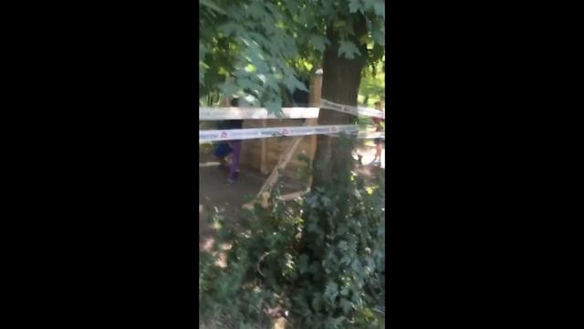 01af36c9ff22f5b1a8ecd562cfd620b5