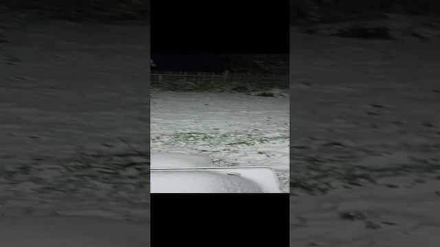 Первый снег.