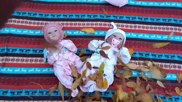 VID_20241011_172510.mp4