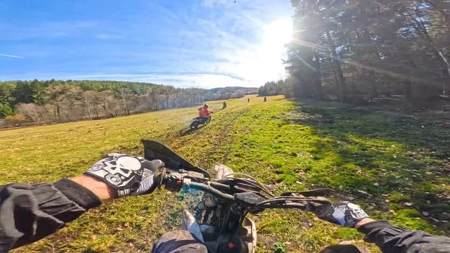 BAD DAY - Querly 2024