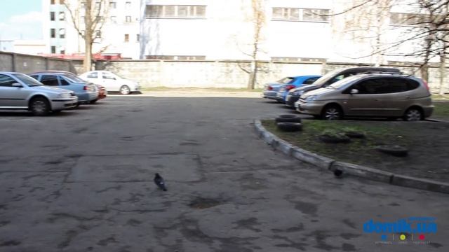 Василия Порика пр-т, 14А Киев видео обзор