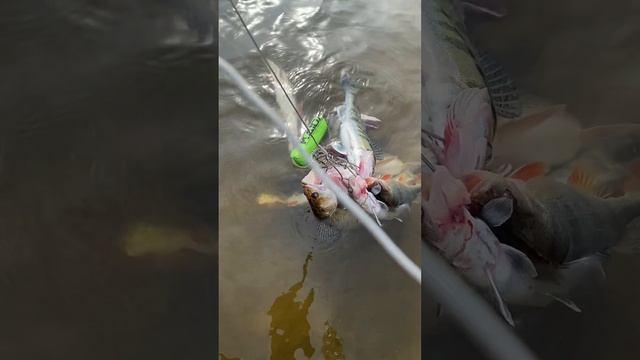 D48d750596adc0c9c64082740bf7864a