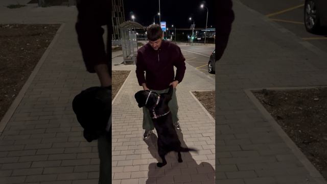 не наврал 🐕🦺