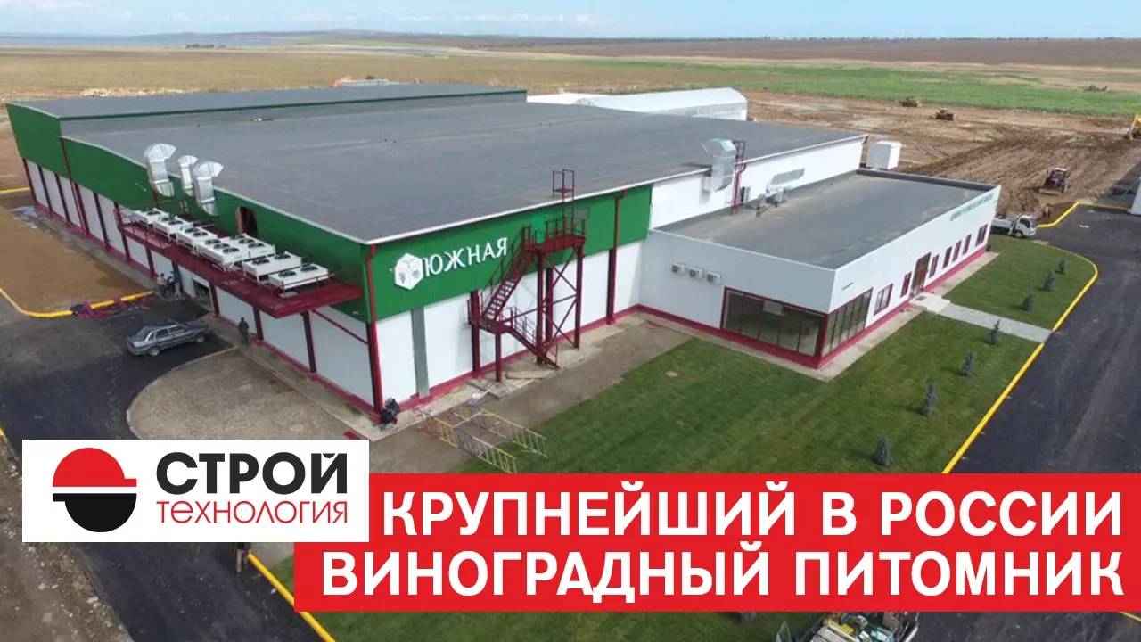 Стройтехнология. Крупнейший в России виноградный питомник.