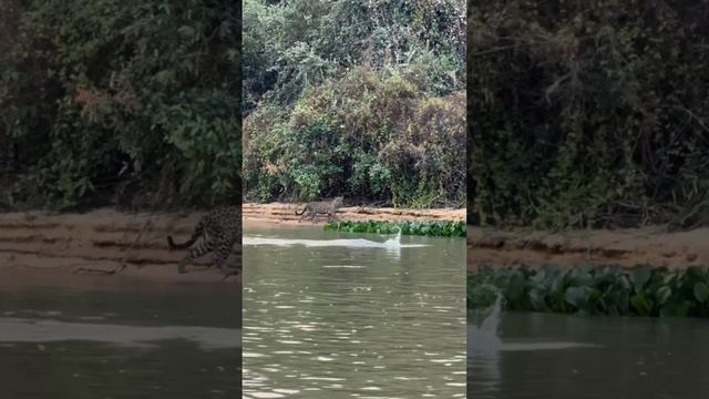 B124536cf0d256250da459854f48e233