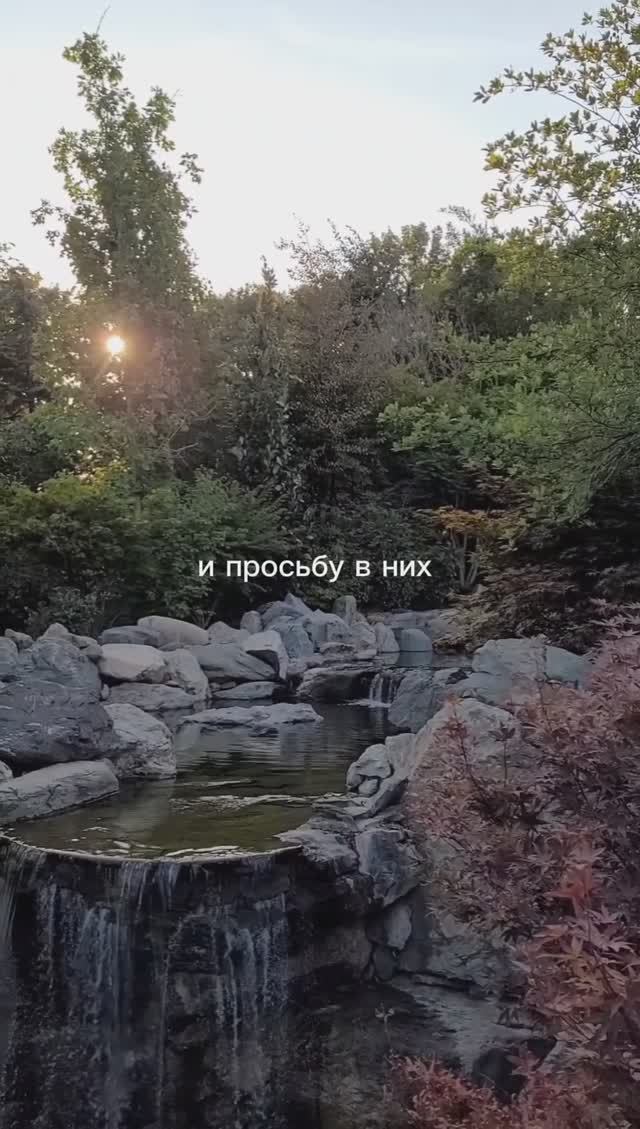 CHOISY - Гости на этой планете #музыкадлядуши #индирок #природа