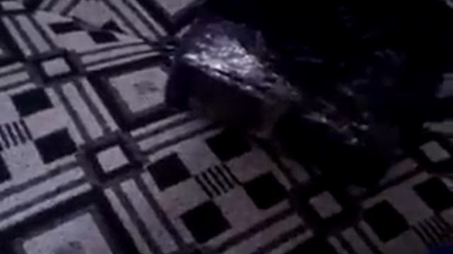 27ade983d5cb11d006385c579c6af14c