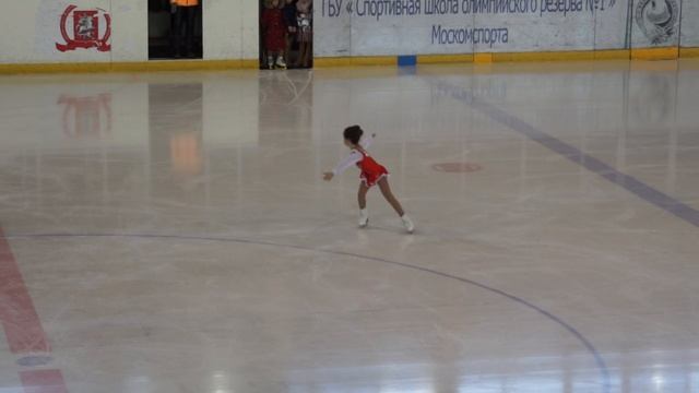 арина каток умка