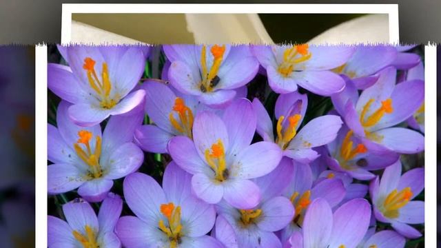 Детские веселые клипы