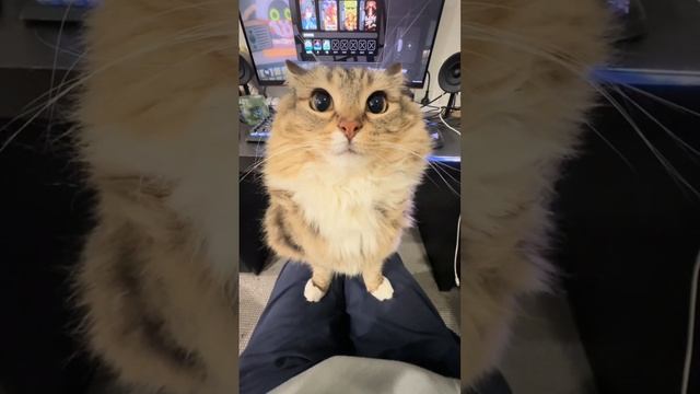 367e69818c45b2ddfe8814977b1a8e1d