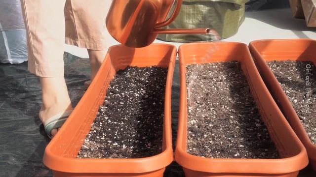 Hobbies Are Important, Part 3