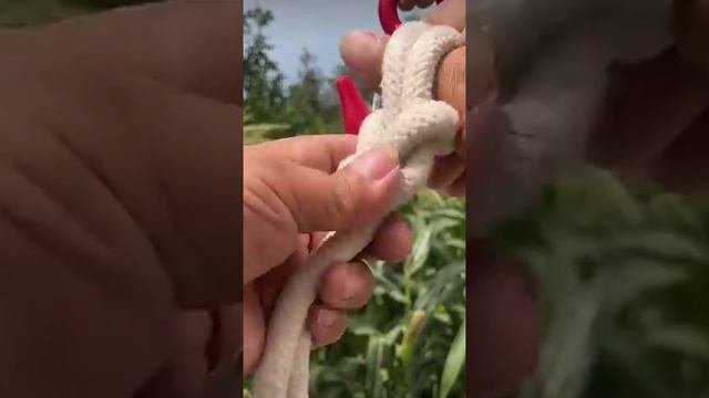 Fb71b986697af33f9b42eb823b6a3279