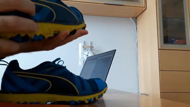 Кроссовки PUMA Faas 500 TR V2 (обзор)