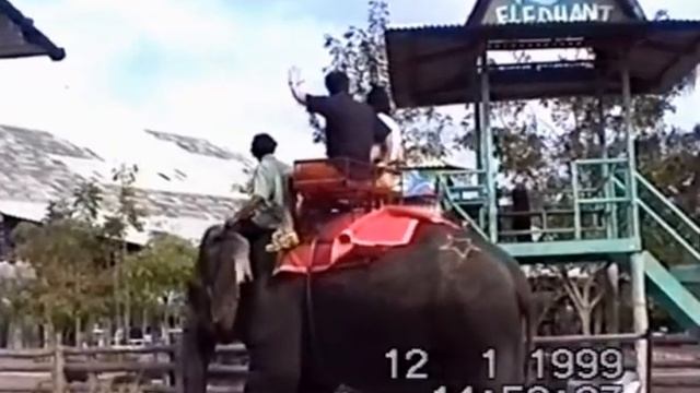 Оцифровка видео.