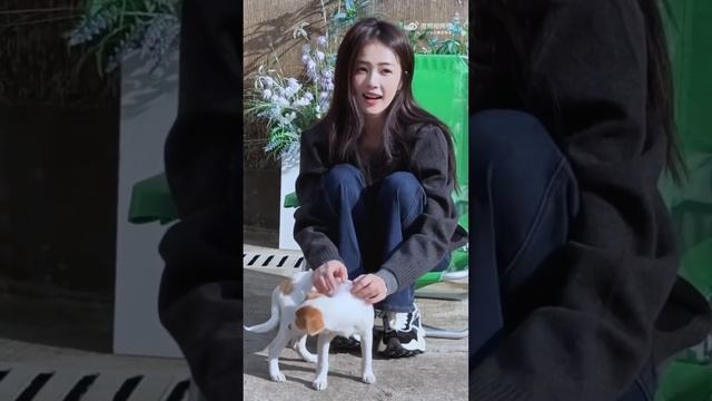 VID_20241013_150611_542.mp4