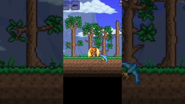 Воин в Террарии