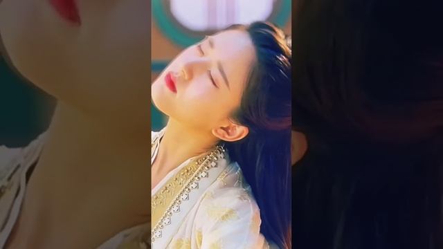 VID_20241013_194426_650.mp4