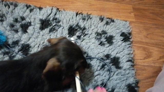 6d45f6291b012761a5beed2fe05dbf05