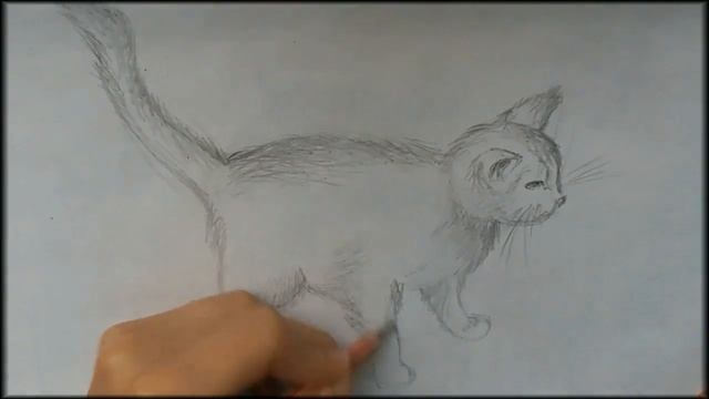 Drawing A Cat / рисуем кота