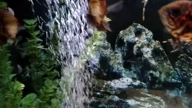 0f176258005c9ee5499777b20ace9476