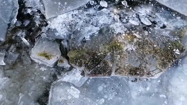 C19cca5cf44b4cac2b12fc8491edf022