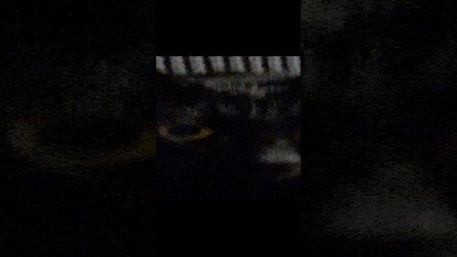 D1980d2db5dc598a839a72102197ce74