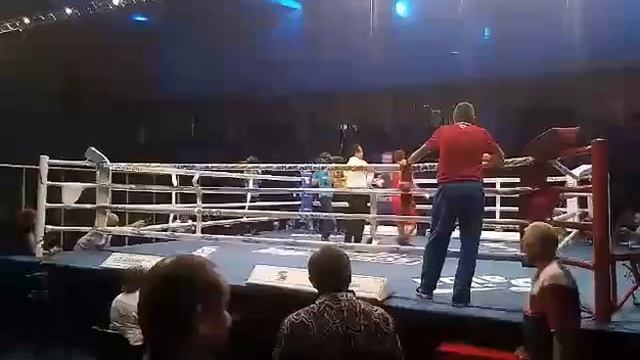 Хижняк вийшов у півфінал чемпіонату Європи