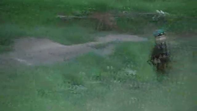 полевые учения