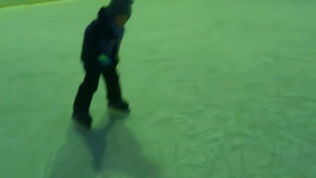 2015 02 27 Леша на катке
