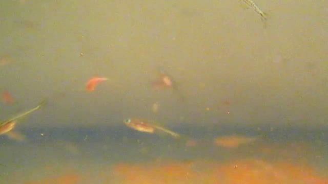 Fd800acc84a12b874d0deb1baa5b630b