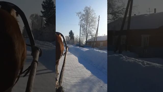 Поход по родным местам. Фильм 3. Дорога в детский сад.