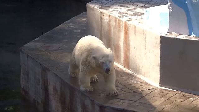 Ты рыбачка - я рыбак!.. Извини - моя добыча! Не мечтай о ней никак)