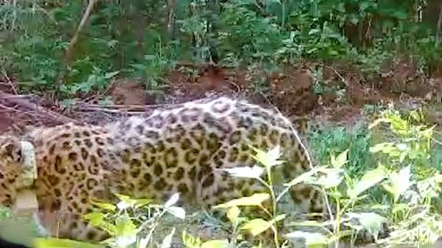 6ad63006604eb30ef7410a41d6c1a383