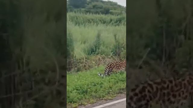 3da8ac9cc773db41bbc2b001eee14ba1