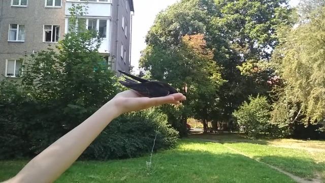 49025d34cf35fb9d2ada44b97f56c125