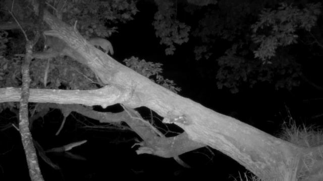 22b122584c4232ff0fb66b68160390f4