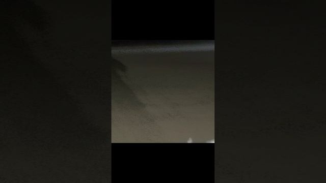 я в слталкерсокой зоне