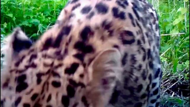 05522d6f9938da09ad45184668b0c5b0