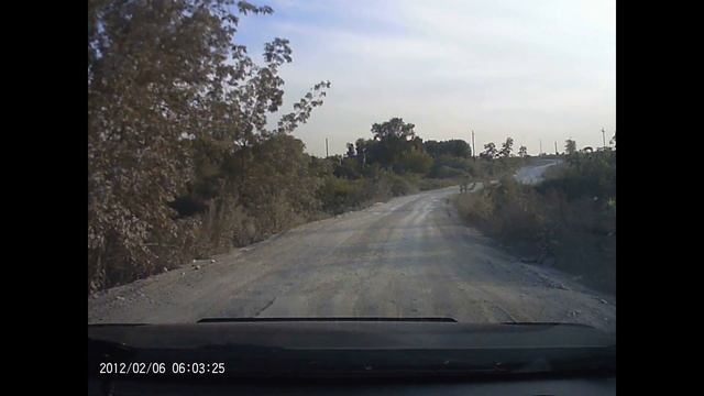 Спасение галчонка