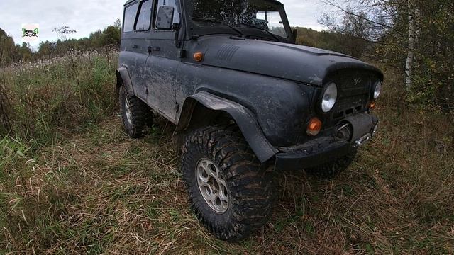 Осень 2024. В глубинке Костромской области. Пустоши за рекой Туткой.