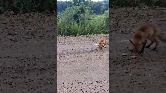 485a6d20c29605b36ed3e43b9110606f