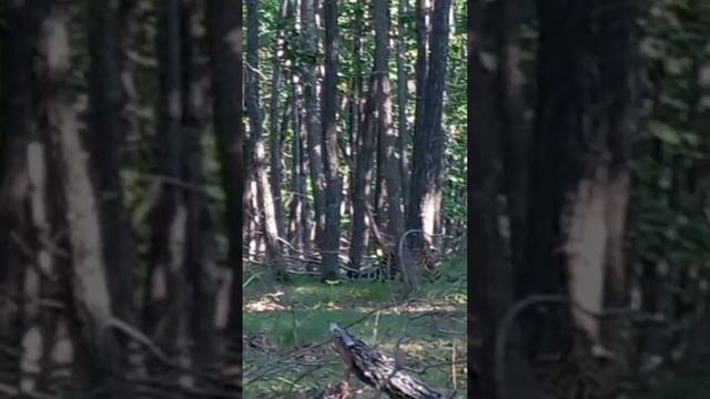 118358824658ccde8170aa4bdfb6dac7